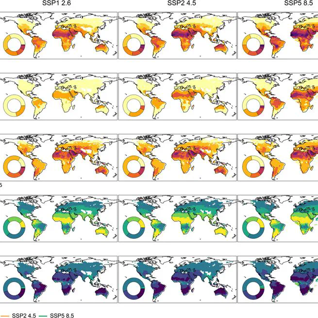 Changes in global heat waves and its socioeconomic exposure in a warmer future